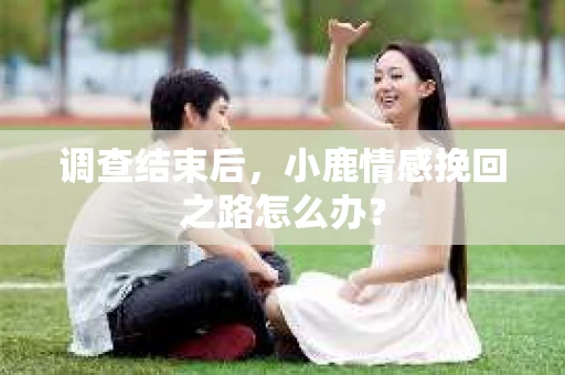 调查结束后，小鹿情感挽回之路怎么办？