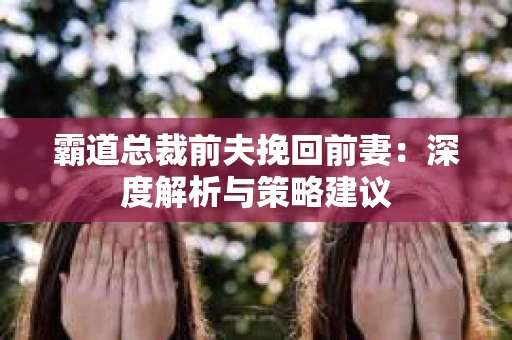 霸道总裁前夫挽回前妻：深度解析与策略建议