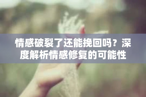 情感破裂了还能挽回吗？深度解析情感修复的可能性