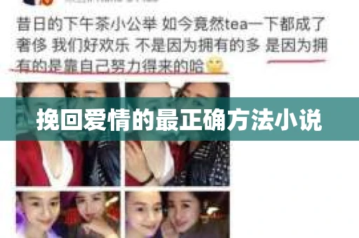 挽回爱情的最正确方法小说