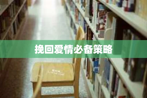 挽回爱情必备策略