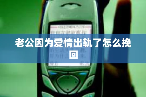 老公因为爱情出轨了怎么挽回