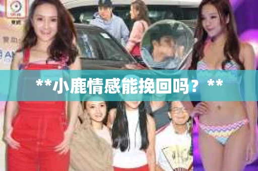 **小鹿情感能挽回吗？**