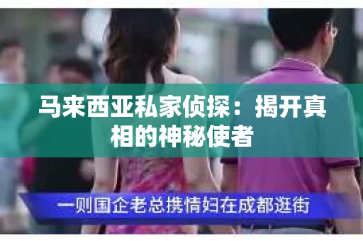 马来西亚私家侦探：揭开真相的神秘使者