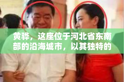 黄骅，这座位于河北省东南部的沿海城市，以其独特的地理位置和丰富的历史文化而闻名。然而，在这座城市中，还有一群人，他们以另一种方式默默守护着社会的公平与正义——私家侦探。今天，我们就来聊聊黄骅的私家侦探，看看他们是如何在这个城市中发挥作用的。