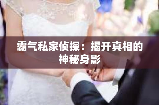 霸气私家侦探：揭开真相的神秘身影
