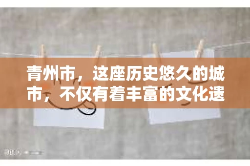 青州市，这座历史悠久的城市，不仅有着丰富的文化遗产，也有着现代生活的便捷。那么，问题来了——青州市有私家侦探公司吗？这个问题，对于需要侦探服务的人来说，无疑至关重要。接下来，我就来为大家揭开这个谜底。