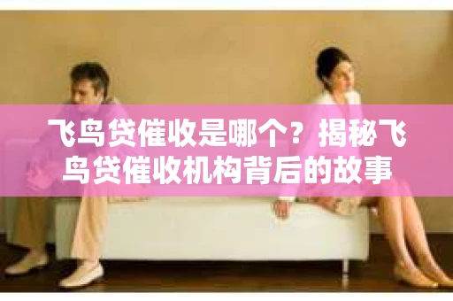 飞鸟贷催收是哪个？揭秘飞鸟贷催收机构背后的故事