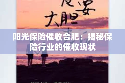 阳光保险催收合肥：揭秘保险行业的催收现状