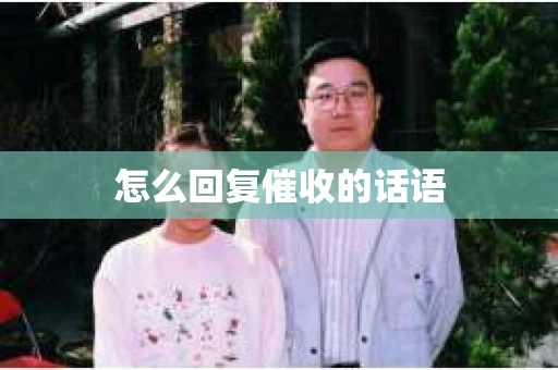 怎么回复催收的话语
