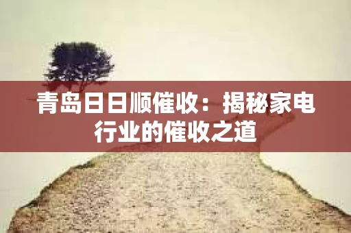 青岛日日顺催收：揭秘家电行业的催收之道