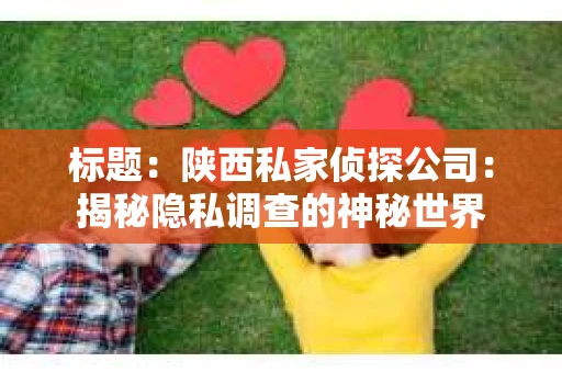 标题：陕西私家侦探公司：揭秘隐私调查的神秘世界