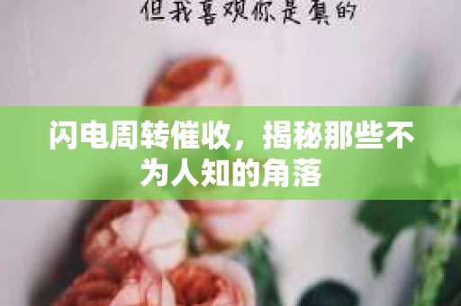 闪电周转催收，揭秘那些不为人知的角落