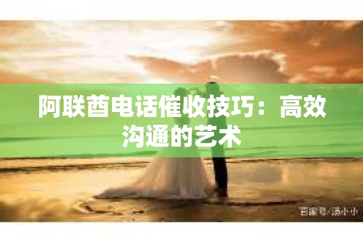 阿联酋电话催收技巧：高效沟通的艺术