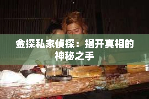 金探私家侦探：揭开真相的神秘之手