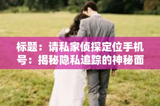 标题：请私家侦探定位手机号：揭秘隐私追踪的神秘面纱