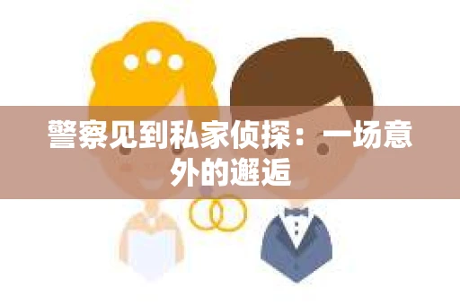 警察见到私家侦探：一场意外的邂逅