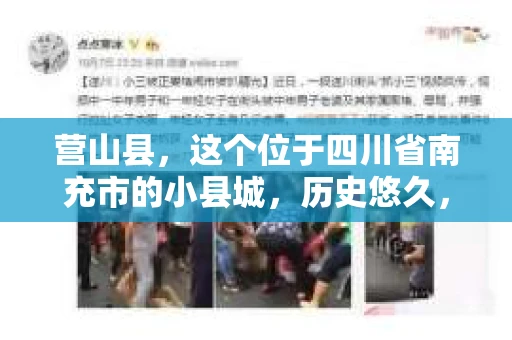 营山县，这个位于四川省南充市的小县城，历史悠久，风景秀丽。但在这个宁静的小县城里，你是否会好奇，有没有私家侦探的存在呢？今天，我就来和大家聊聊这个话题。