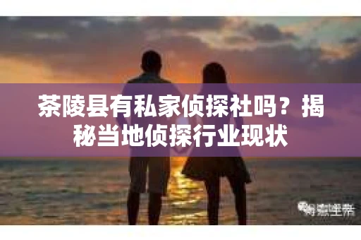 茶陵县有私家侦探社吗？揭秘当地侦探行业现状