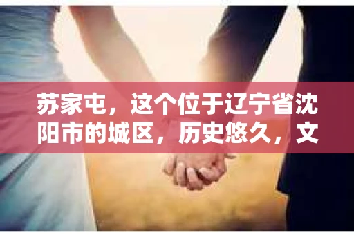 苏家屯，这个位于辽宁省沈阳市的城区，历史悠久，文化底蕴深厚。近年来，随着社会的发展，人们对于私家侦探的需求也逐渐增加。那么，苏家屯有私家侦探吗？今天，我们就来聊聊这个话题。