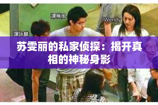 苏雯丽的私家侦探：揭开真相的神秘身影