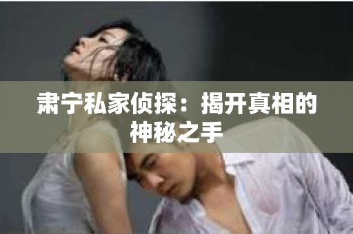 肃宁私家侦探：揭开真相的神秘之手