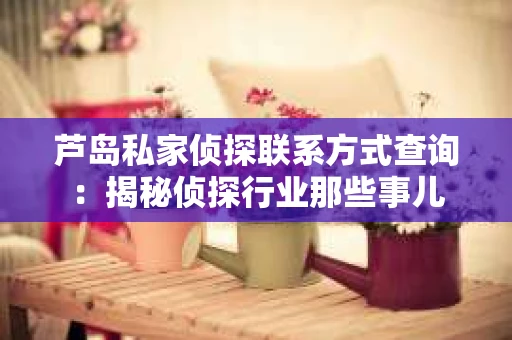 芦岛私家侦探联系方式查询：揭秘侦探行业那些事儿