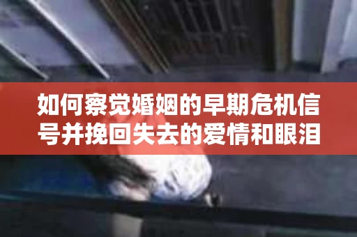 如何察觉婚姻的早期危机信号并挽回失去的爱情和眼泪？