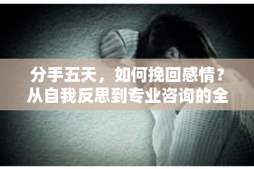 分手五天，如何挽回感情？从自我反思到专业咨询的全面解决方案