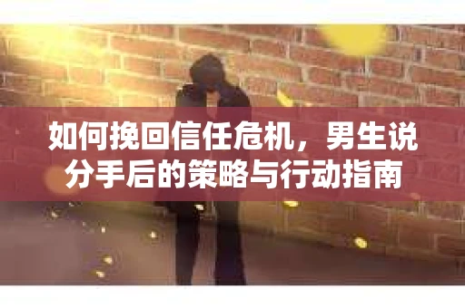 如何挽回信任危机，男生说分手后的策略与行动指南