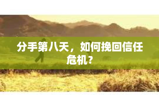 分手第八天，如何挽回信任危机？