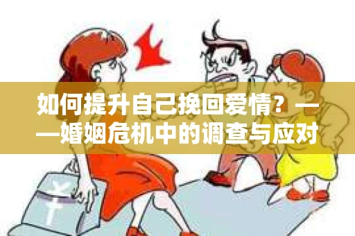 如何提升自己挽回爱情？——婚姻危机中的调查与应对策略